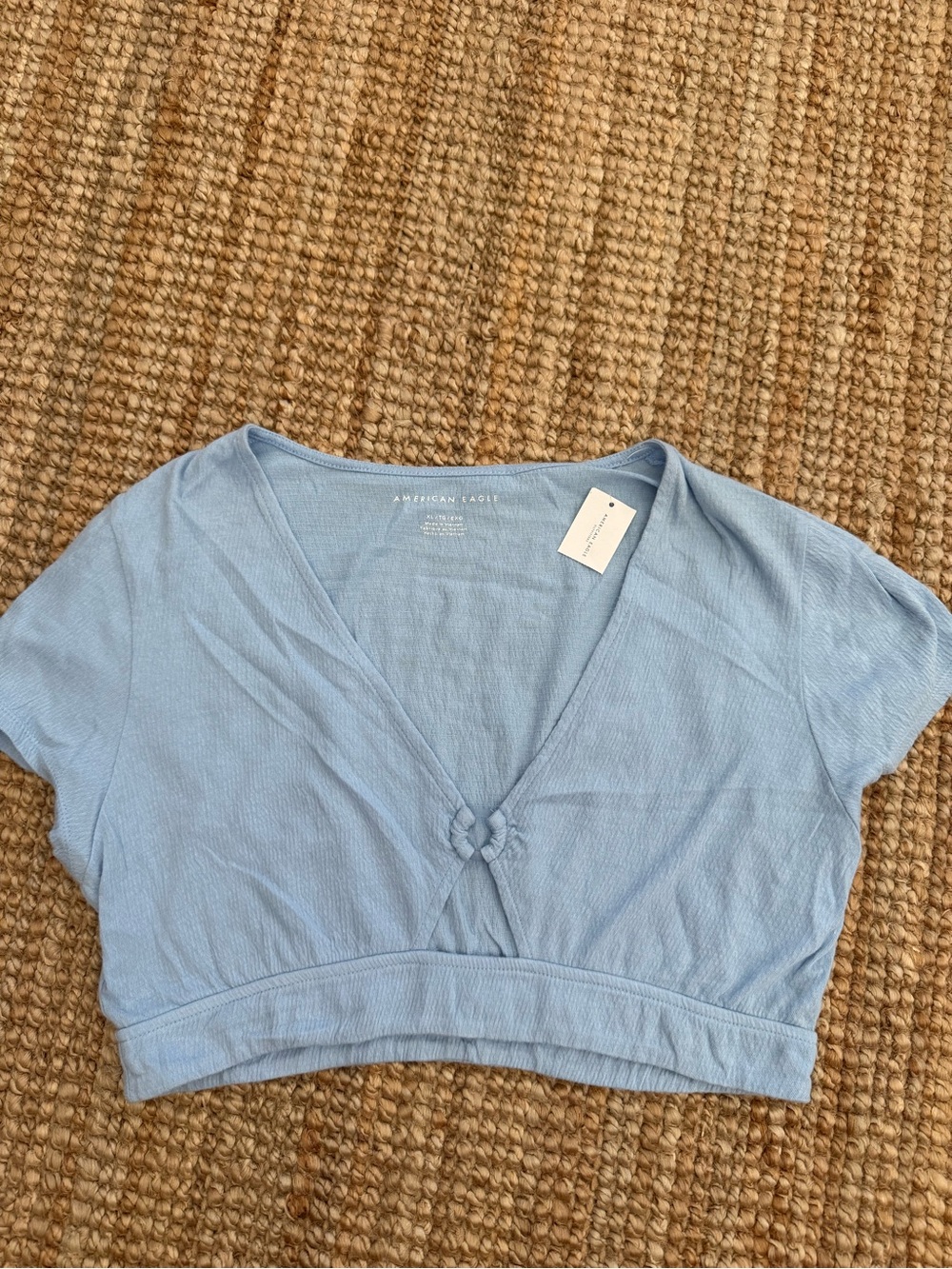 American Eagle Outfitters Sky Blue V-Neck Knot Front Cropped Tee